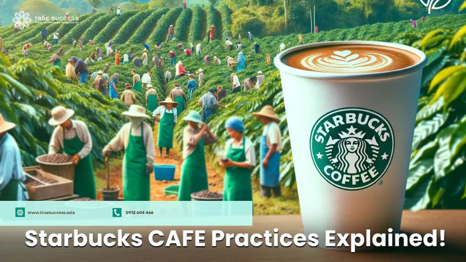 Chương trình "C.A.F.E. Practices" của Starbucks thành công nhờ “nhìn xa”