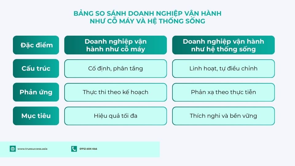 Bảng so sánh doanh nghiệp vận hành như cỗ máy và hệ thống sống