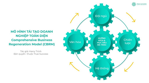 Thế Nào Là Tái Tạo Doanh Nghiệp Toàn Diện? 10 Mô hình tái tạo doanh nghiệp toàn diện