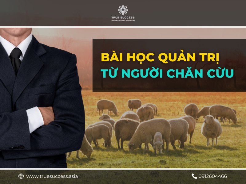 Bài học quản trị thông qua hình ảnh người chăn cừu Bai-hoc-quan-tri-tu-nguoi-chan-cuu-4