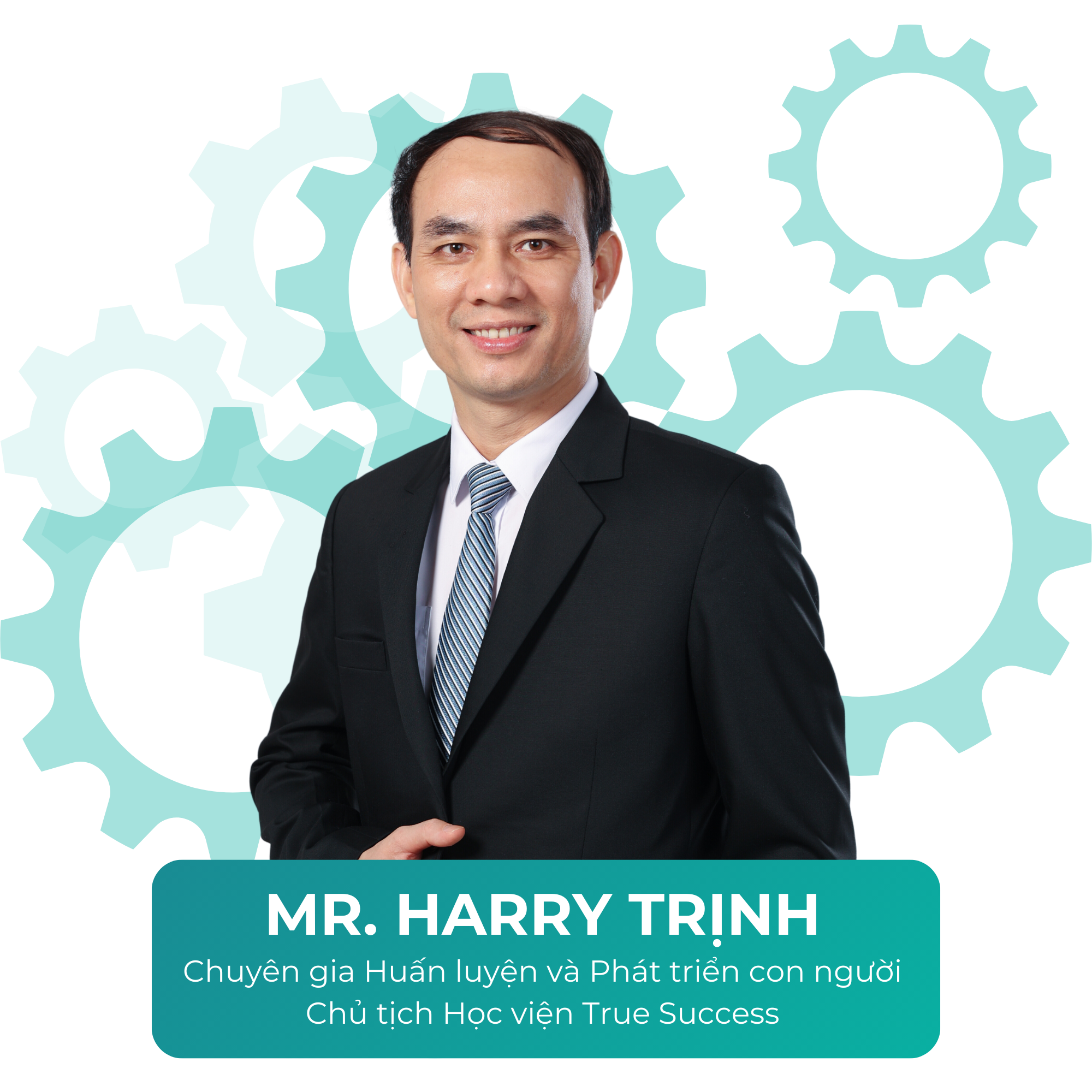 harry trinh tu duy he thong