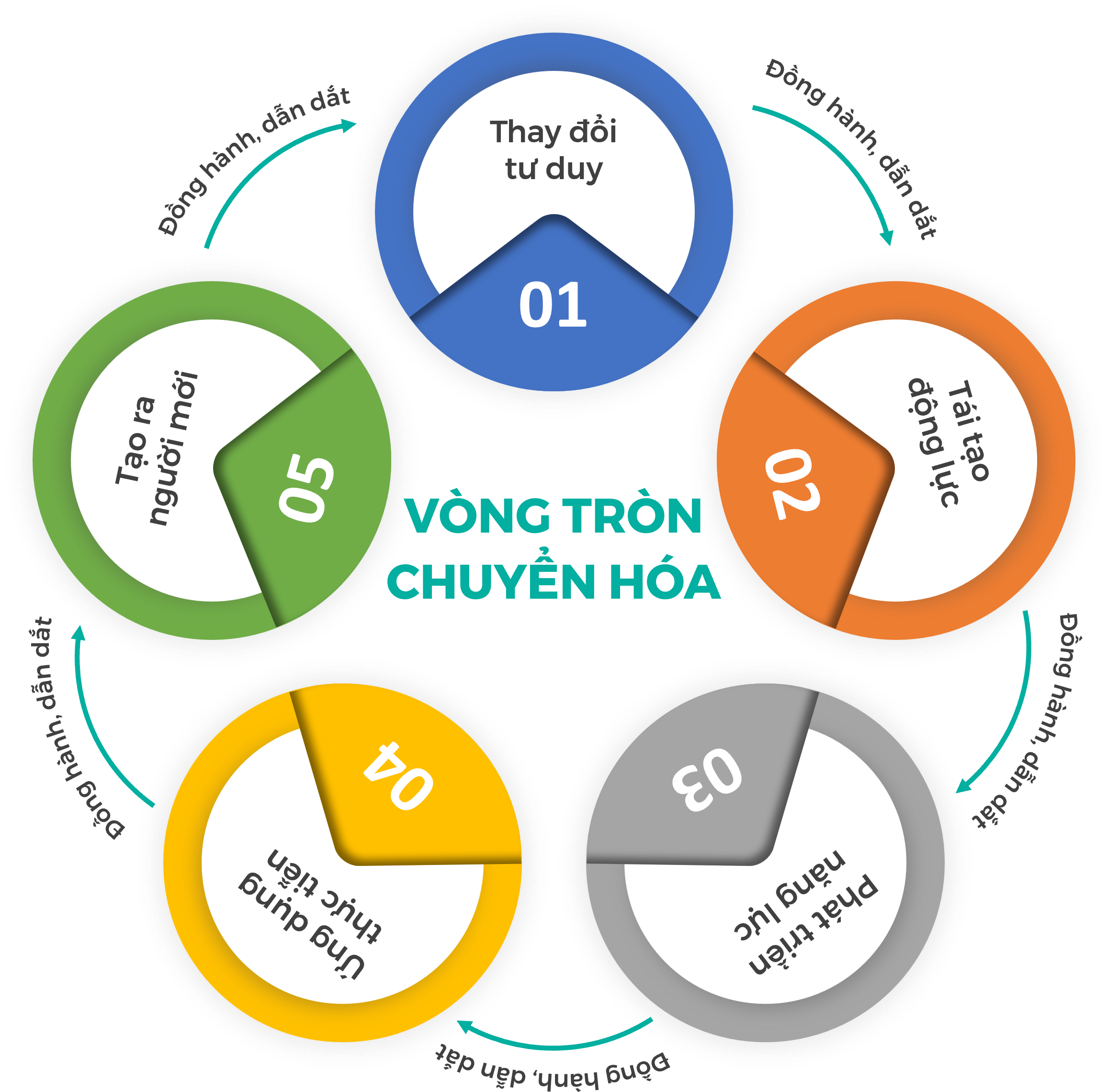 vòng tròn chuyển hóa - V2